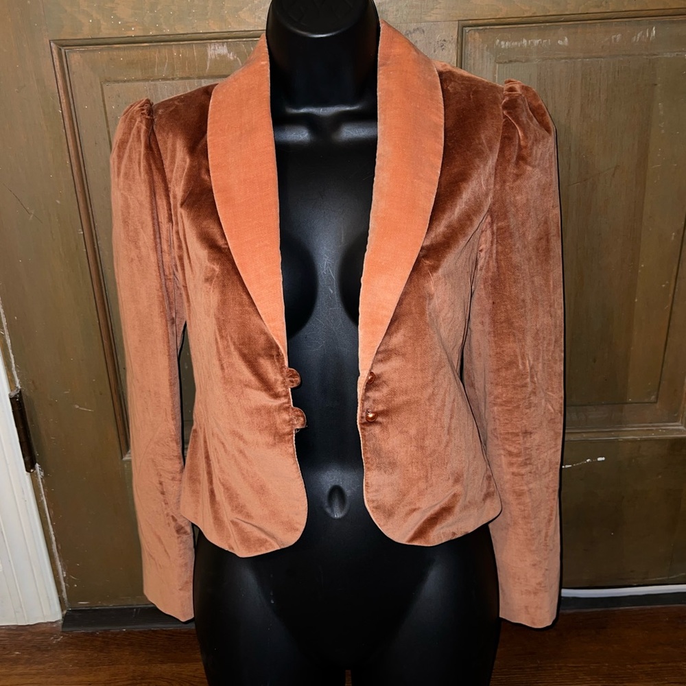 Vintage Strawberry Plant Tan Velvet Long Puffed Sleeve Blazer Jacket Size 3-4 - Picture 5 of 13
